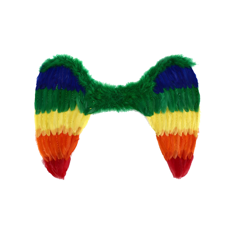 Костюм Rainbow Feather Angel Wings